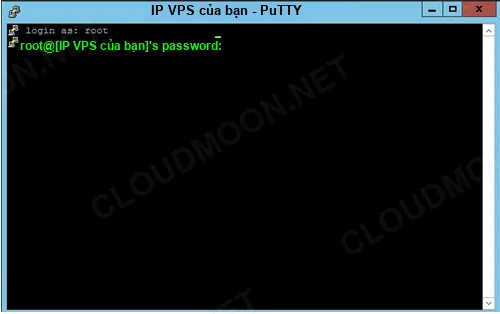 Đăng nhập SSH qua PuTTY bằng username root và mật khẩu VPS