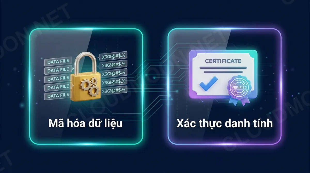 Hai việc SSL làm: mã hóa dữ liệu và xác thực danh tính website