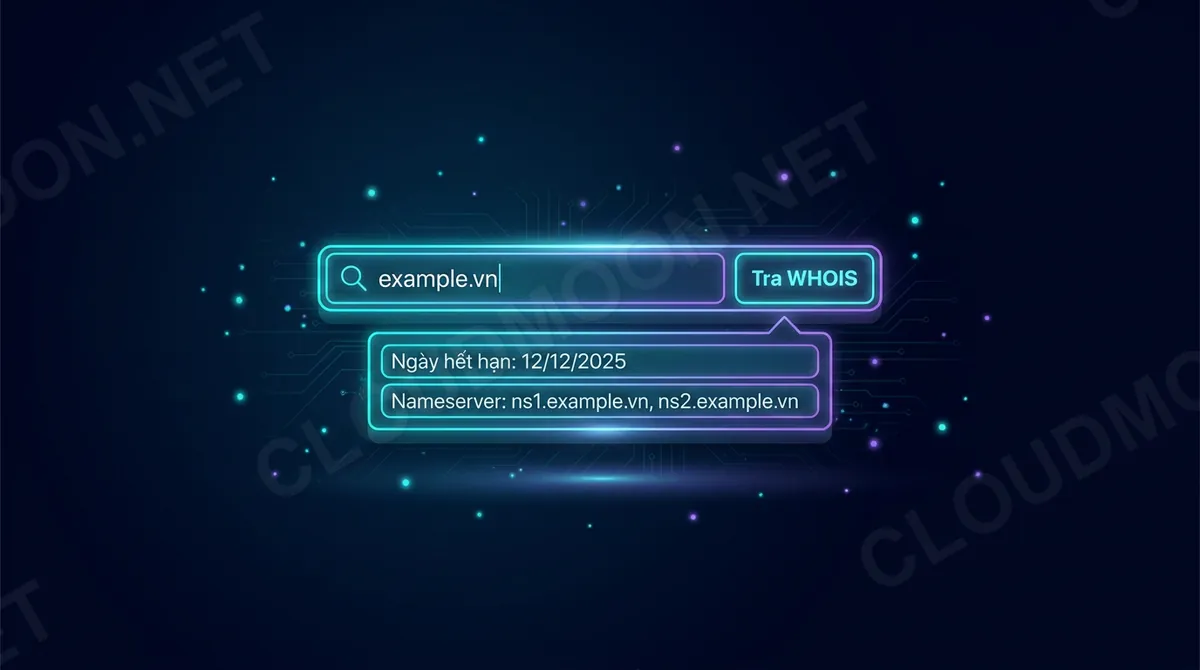 Cách tra WHOIS: nhập tên miền và xem kết quả